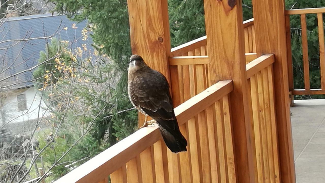 Hosteria Baerenhaus San Martín de los Andes Eksteriør bilde